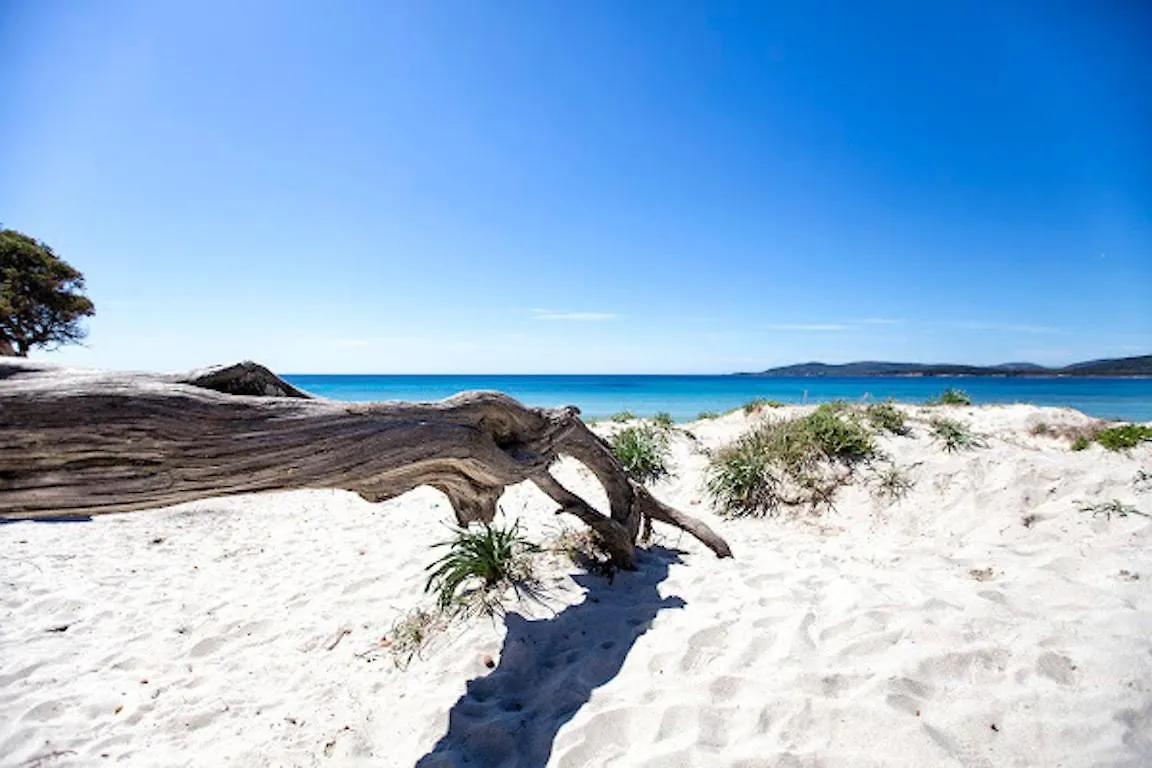 Apartment Emerald Top In Old Town By Sea Alghero Italy